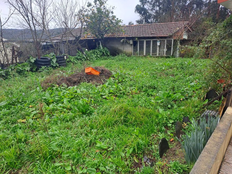 Moradia, armazém e terreno , entre Paço de Sousa e Lagares Penafiel