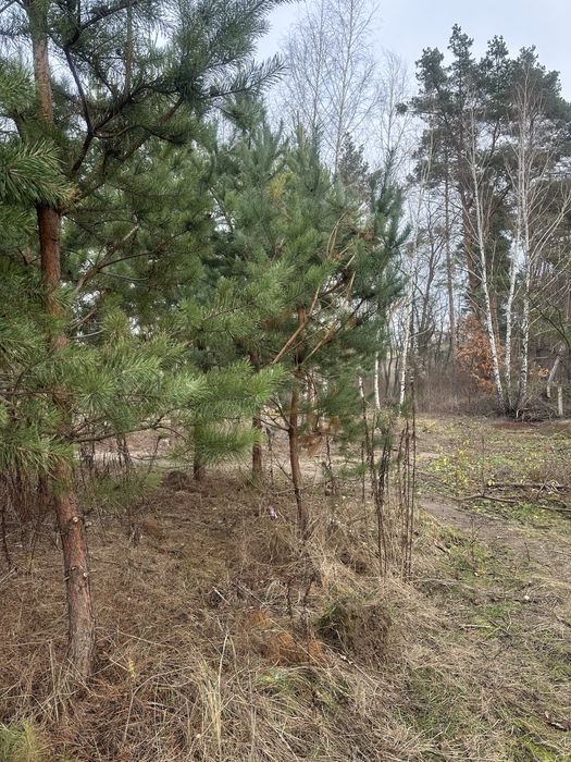 Продам ділянку  6 сот; 11 сот,  Ходосівка