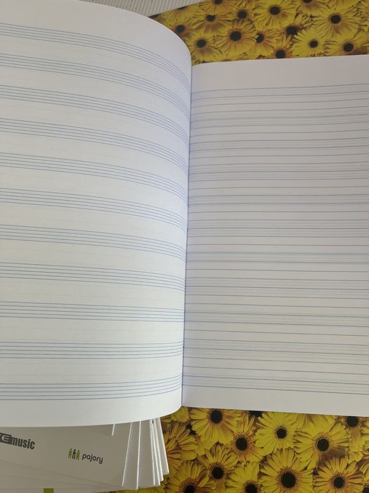 Conjunto de cadernos de musica