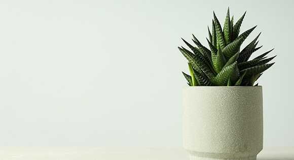 Sprzedam styropian w dużych ilościach w najniższych cenach