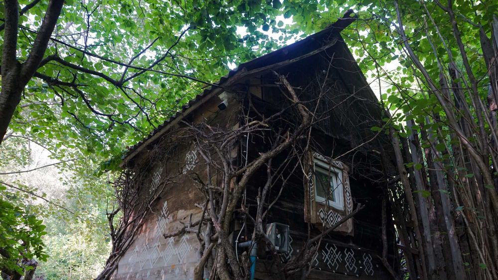 Земля з будинками в Карпатах Готовий бізнес / еко-комплекс в горах.
