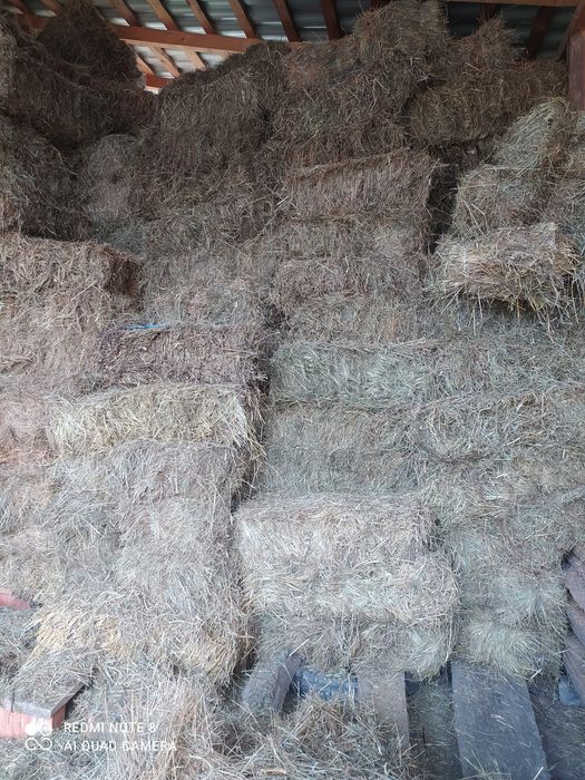 Продам сіно в тюках