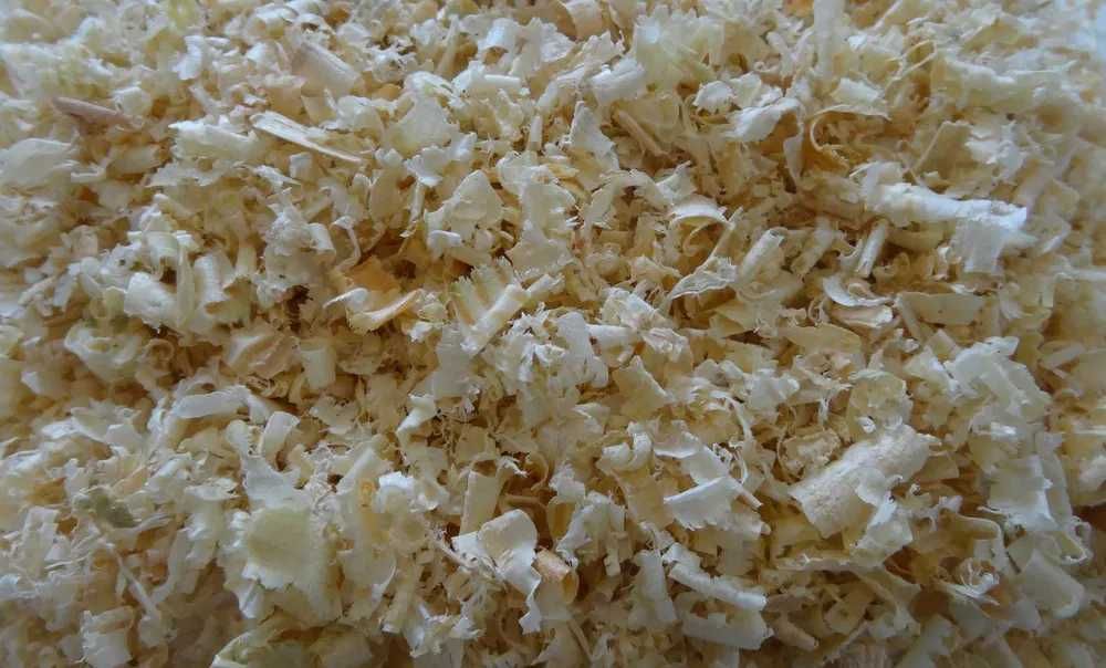 Trociny, ściółka, wióry naturalne dla gryzoni 90L