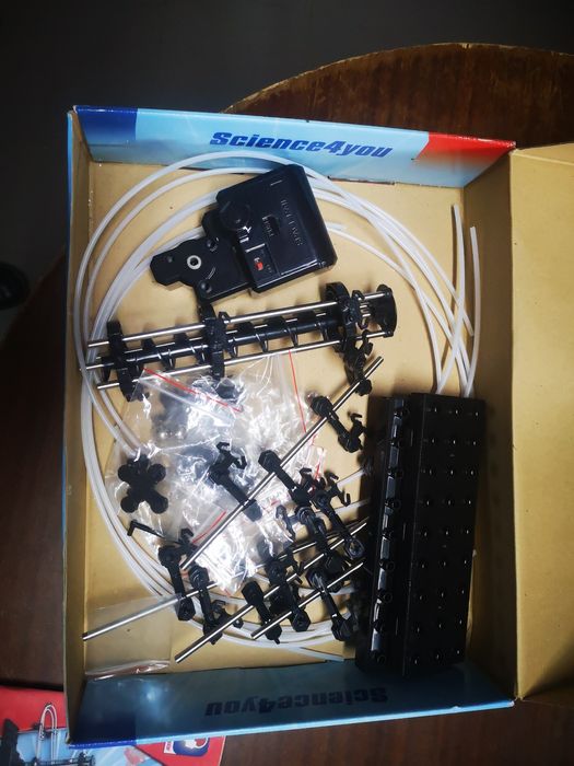 Jogo Crazy Race Science4you