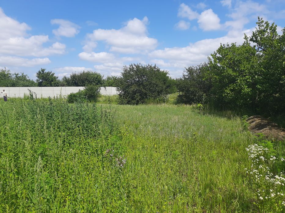 Продам участок 15с.під забудову,Супрунівка,район Кулиничив