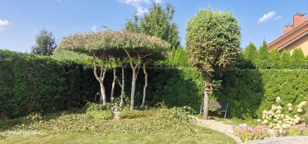 Wycinka drzew krzewów i inne prace ogrodowe, remonty, prace ziemne.