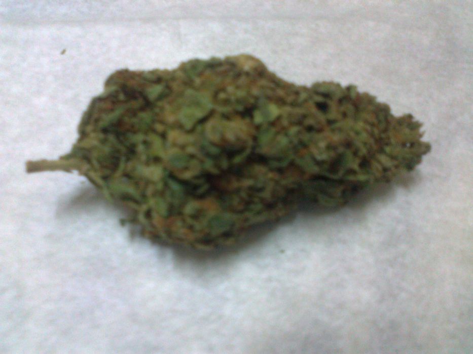 Marihuana CBC Lilac Diesel 1g + Sourdough Kush 1g + Kraken 1g = 3g CBN