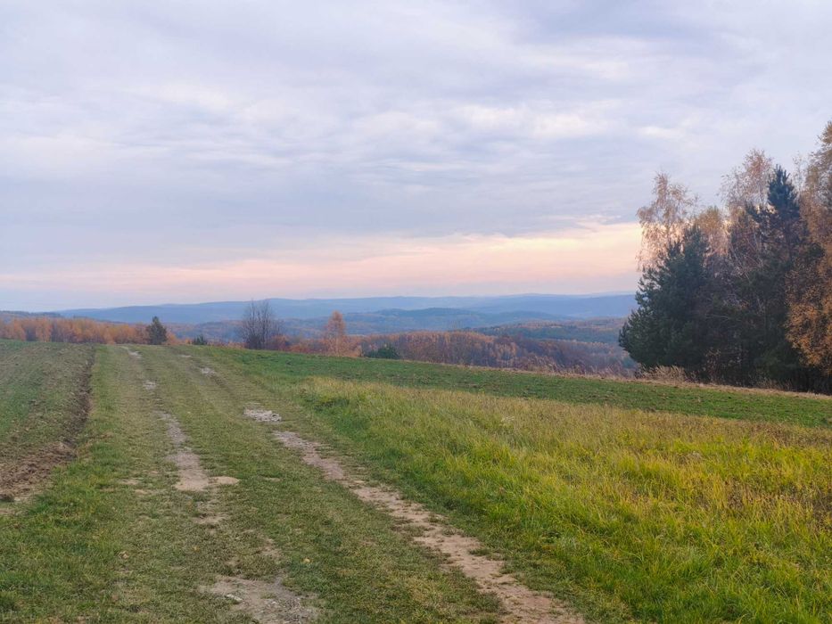 Działka leśna śliwnica gm. Dubiecko
