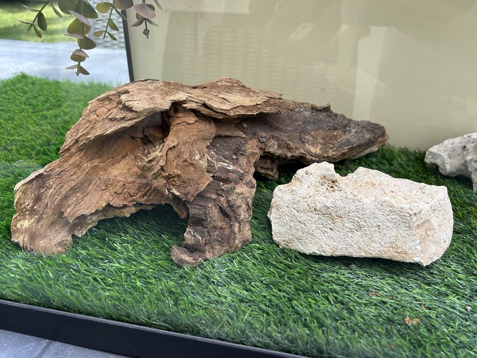 Terrário para Répteis 62x36x31 cm – Completo com 2x tapete sintentico e como novo