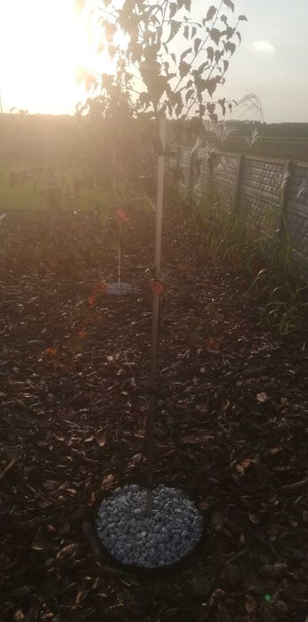 Podpora do drzewka (stojak)