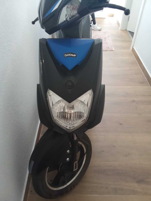 Moto elétrica goose