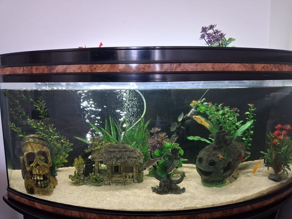 Vendo aquário e caixa transporte animal.