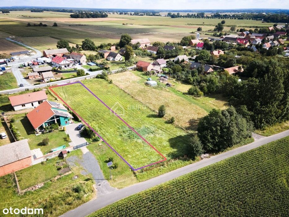 1954 m2 MPZP miejsce na Twój wymarzony dom