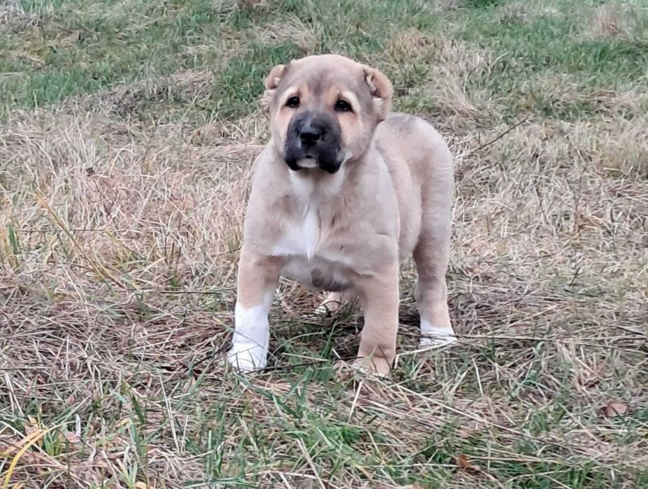 Дівчинка чекае батьків