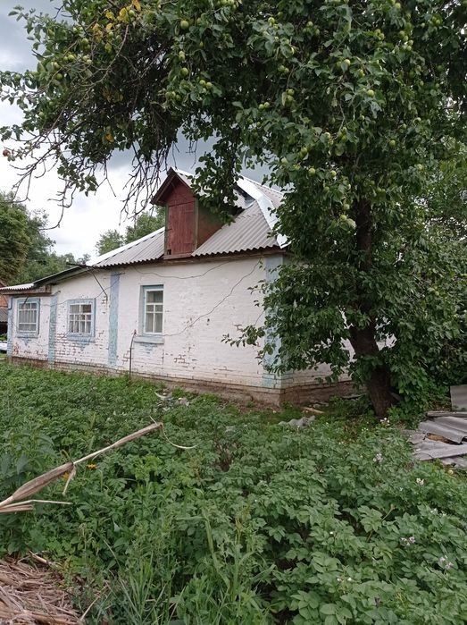 Будинок  біля міста. 380 ВОЛЬТ. Є-ВІДНОВЛЕННЯ. Село Левковичі.