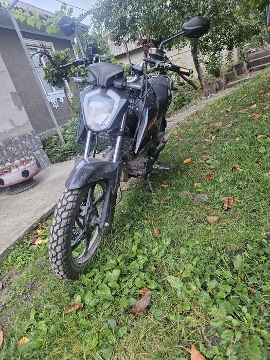 lifan jr 200 (lf 175 10e)