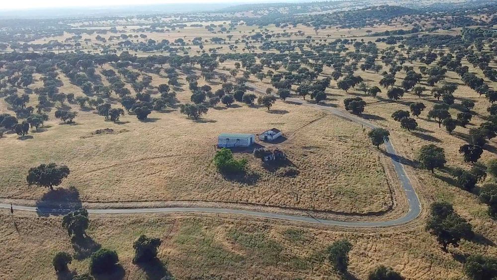 Herdade 12 ha Alentejo