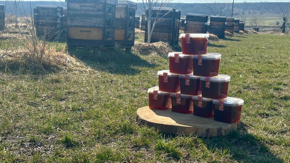Справжній гречаний мед,  кочова пасіка