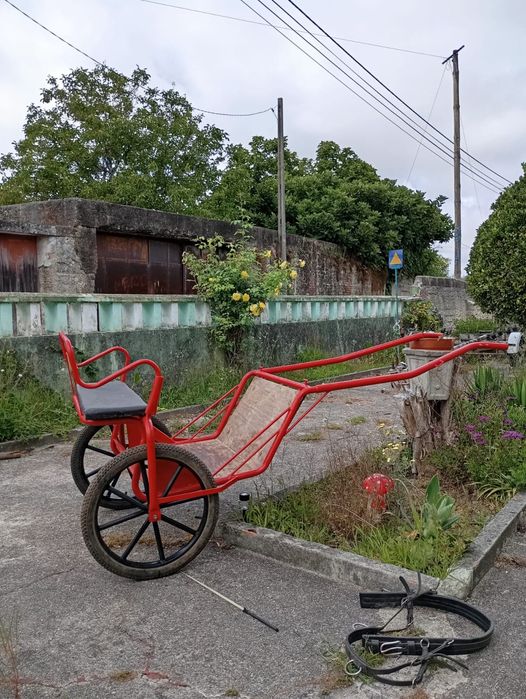 Pônei e charrete