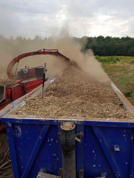 Profesjonalna wycinka drzew i czyszczenie działek oraz sadów