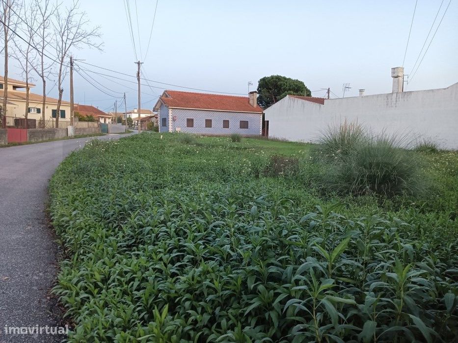 Terreno com 31m de frente para venda Bustos - Oliveira do Bairro