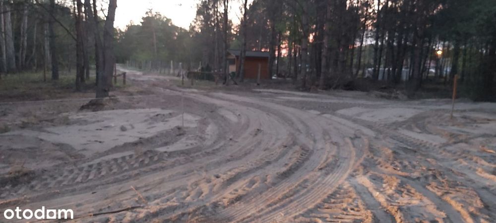 Puszcza Notecka Tanie działki budowlane bezpośrednio 50km od Poznania