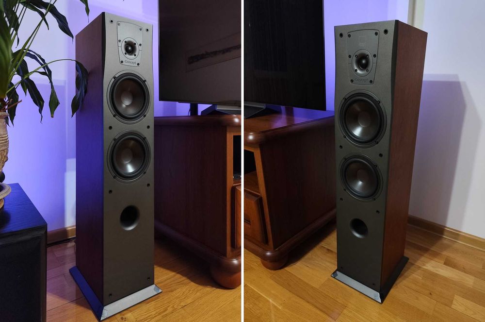 Kolumny podłogowe Dali Concept 6