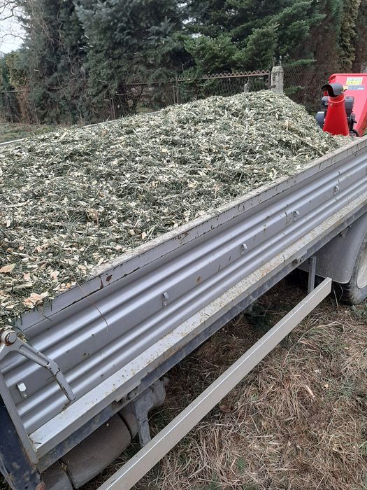 Zrębka drzew iglastych liściastych mieszana