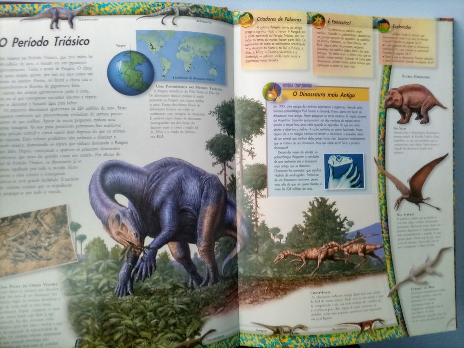 Livro Dinossauros