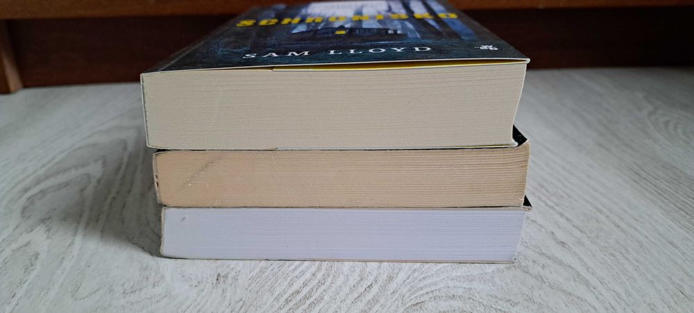 Sam Lloyd Schronisko  Roslund Bestia  Anna Tell Ogień zwalczaj ogniem