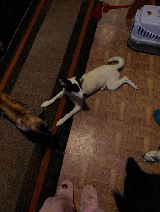 Чудова дівчинка чекає на свою родину