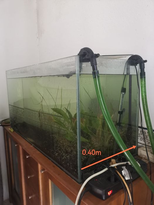 Aquario 1mX40cmX50cm