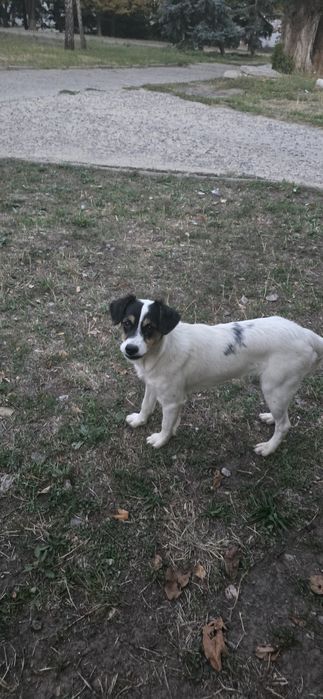 Прилаштовується дівчинка