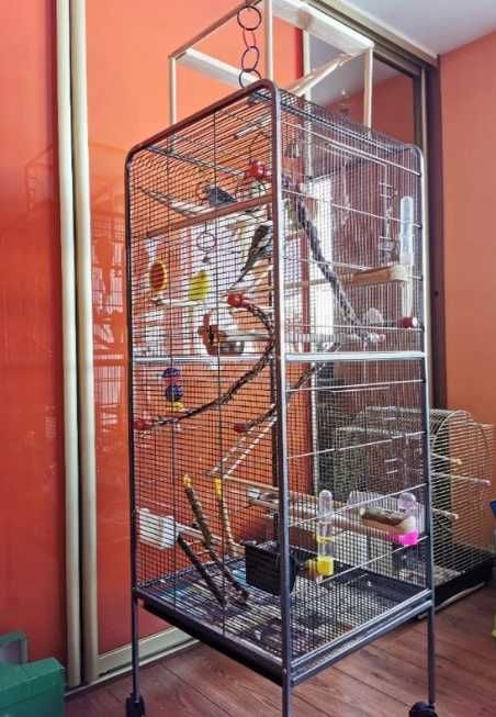 klatka dla ptaka NOWA duża woliera kanarka papugi stojąca 146 cm