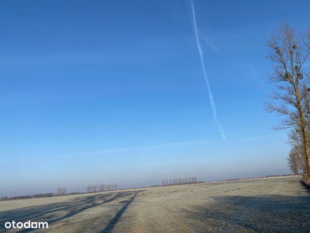 Syndyk sprzeda Nieruchomość w Sownie