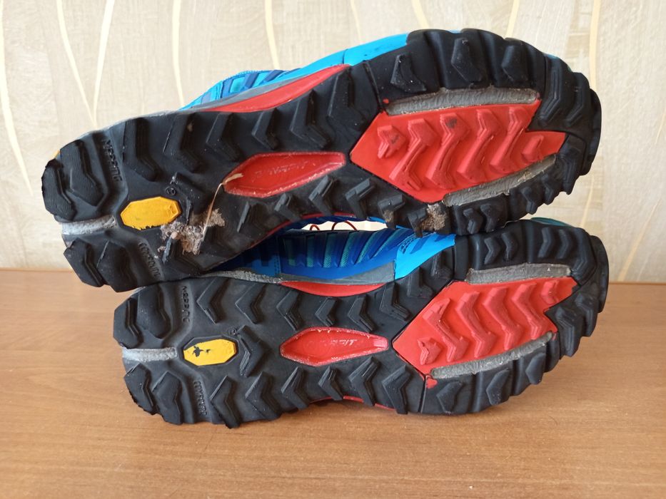 Трейлові кросівки Dynafit