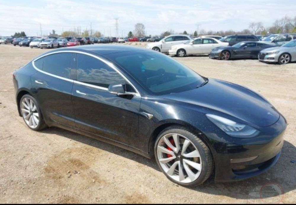 Tesla Model 3 2019