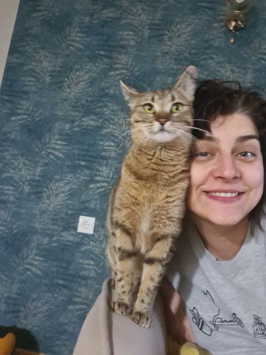 Перетримка тварин котів зооняня Мінська