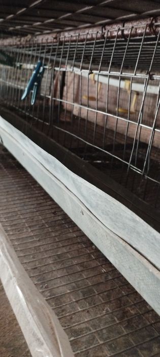 Продам клітки для перепелів