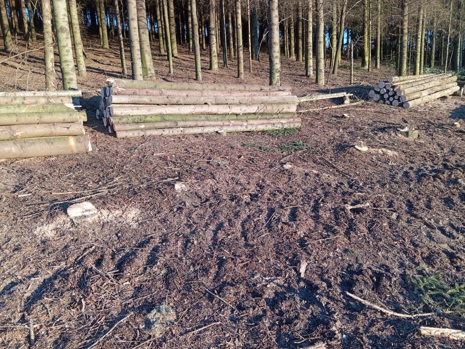 Nowe stemple budowlane