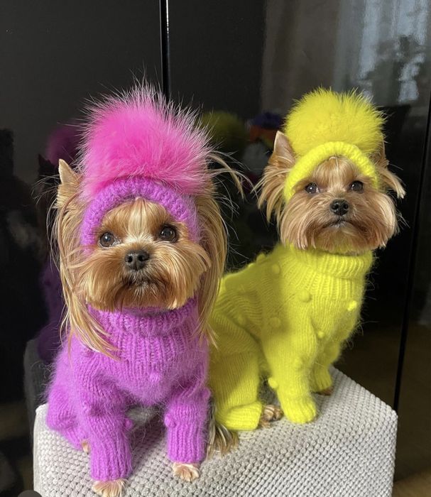 Вязаный комбинезон для собак