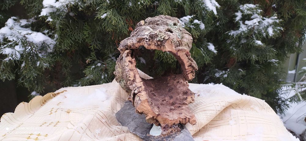 Grota z debu korkowego do terrarium