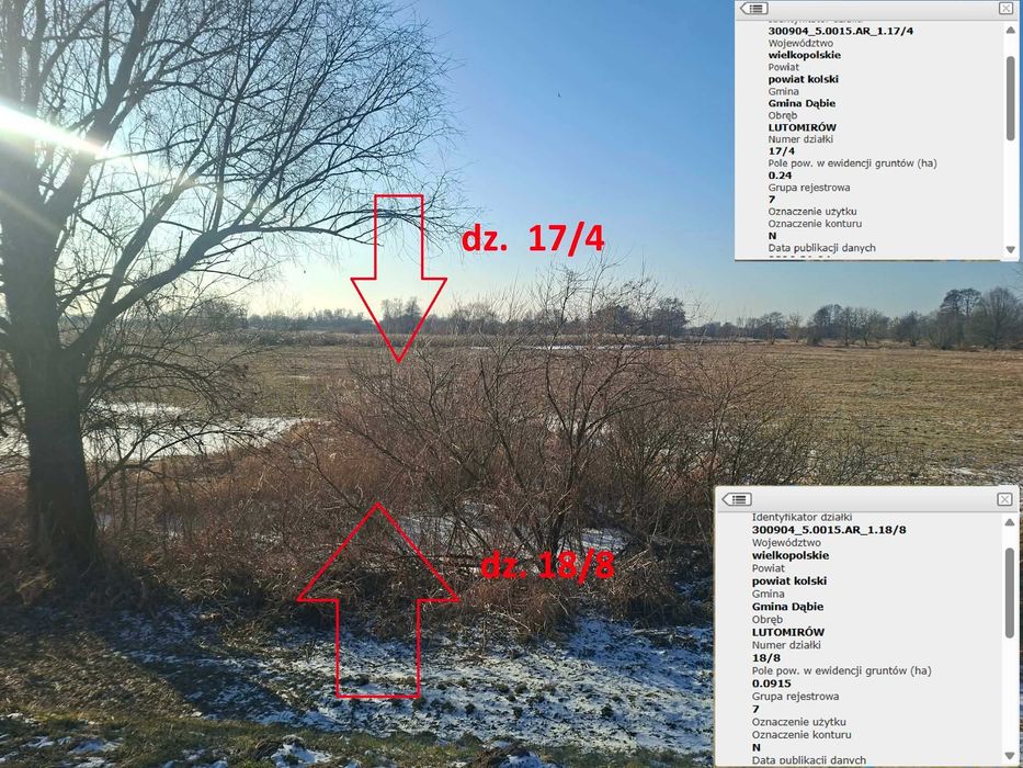Sprzedam grunty rolne 3,15ha w miejscowości Gaj i Chełmno, gmina Dąbie - Widok 4