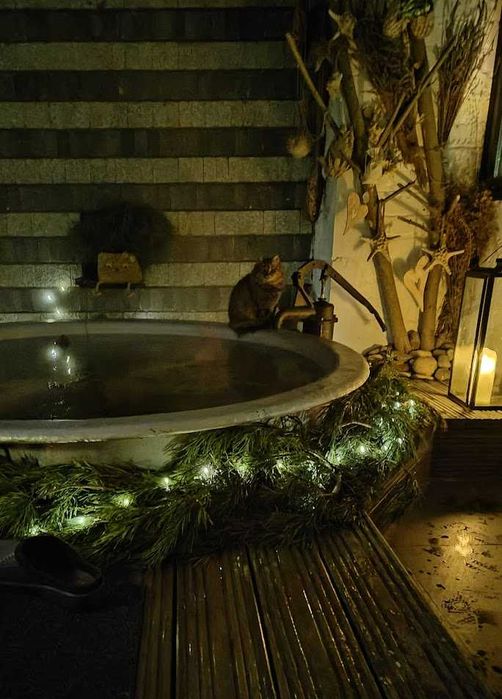 чан на дровах на вечір