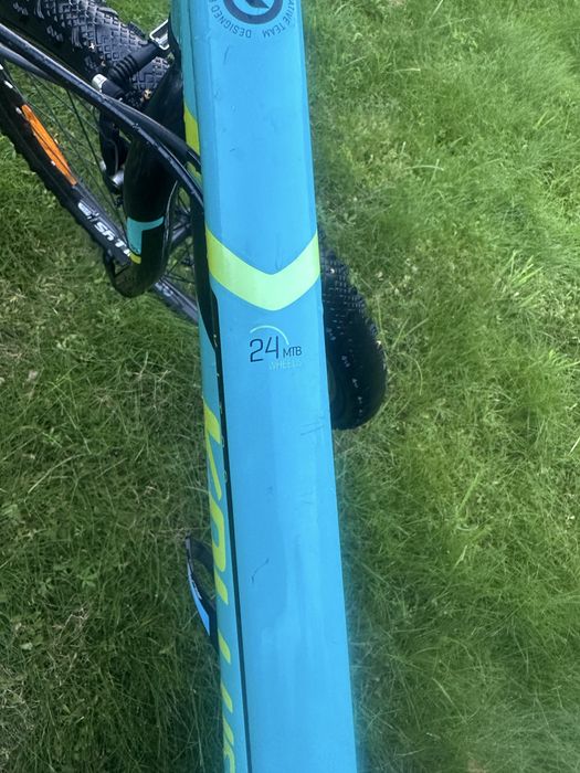 Rower uniseks kellys kiter 24 cale