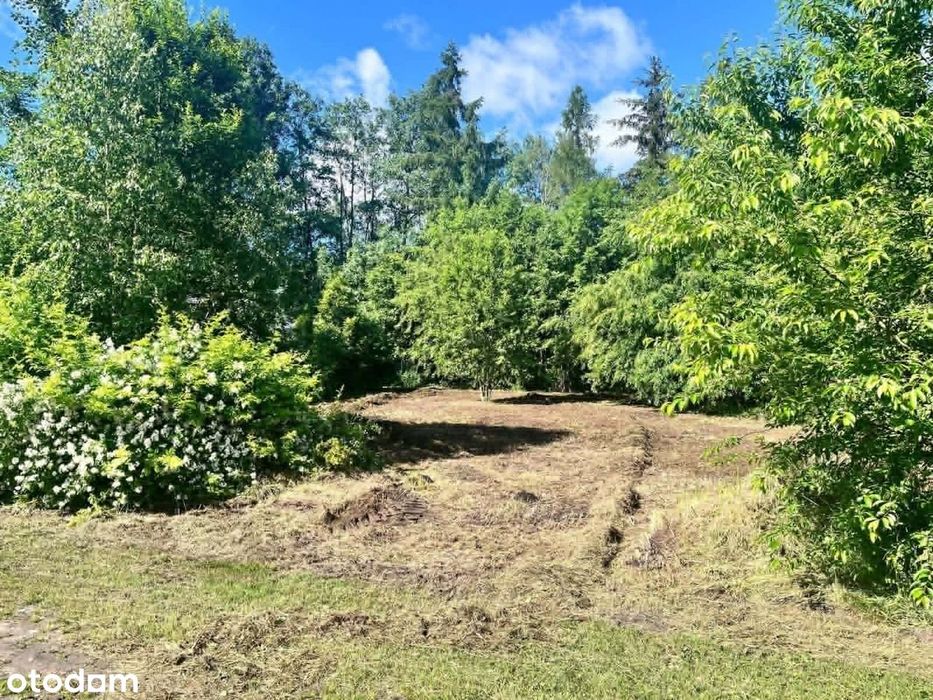 Działka budowlana 1288m² Rokitnica|przy lesie i stawie|Prąd na działce - Widok 4
