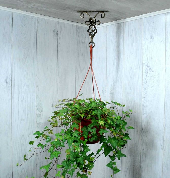 Wieszak Hak Uchwyt sufitowy kuty na doniczkę - Złota Patyna (W13)