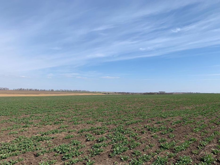 Продам свою земельну ділянку, траса Одеса-Київ