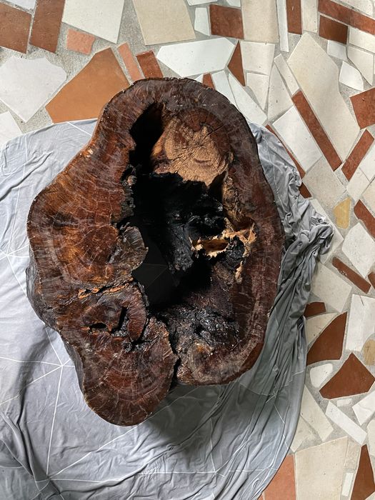 Mesa de Centro - Tronco