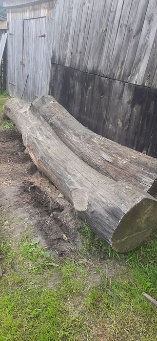 Продам дуб кругляк